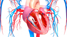 Bị hở van tim có chữa khỏi hoàn toàn được không?