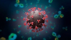 Tế bào miễn dịch T vẫn ngăn ngừa hiệu quả các biến thể phụ Omicron