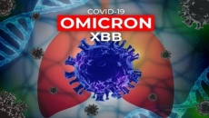 TP.HCM ghi nhận sự xuất hiện biến thế phụ XBB của Omicron  