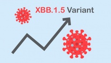 WHO cảnh báo biến thể XBB, XBB.1.5 sẽ dần chiếm ưu thế