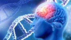 Bệnh đột quỵ não có di truyền không?