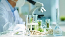 Bộ Chính trị ra Nghị quyết về Xây dựng ngành công nghiệp sinh học