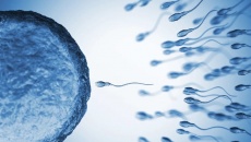 Đột phá: Thuốc tránh thai cho nam giới khiến tinh trùng 'ngừng bơi' tạm thời
