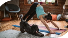 Yoga và những lợi ích cho cả thể chất - tinh thần 