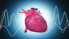 Người bệnh suy tim nên làm gì để ổn định nhịp tim?