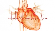 Cần biết gì về rung nhĩ - dạng rối loạn nhịp tim nguy hiểm?