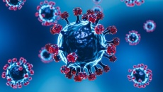 Số ca nhiễm tăng đột biến, Ấn Độ cảnh báo về biến thể mới XBB.1.16