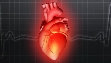 Chuyên gia cảnh báo: Những nguyên nhân thường gặp gây hở van tim