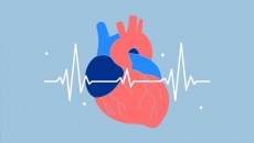 Nhịp tim chậm 50 - 60 nhịp/phút, kèm khó thở có nguy hiểm không?