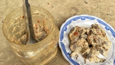 Quảng Nam: Lại ghi nhận nhiều trường hợp ngộ độc liên quan món cá ủ chua
