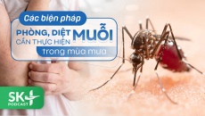 Podcast: Các biện pháp diệt muỗi, phòng muỗi cần thực hiện trong mùa mưa