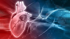 Bị thiếu máu cơ tim có thể dùng thảo dược hỗ trợ được không?