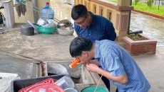 Dịch sốt xuất huyết đang lan rộng ở Hà Nội