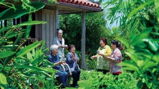 7 thực phẩm được ưa thích tại vùng đất trường thọ Okinawa, Nhật Bản