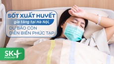 Podcast: Sốt xuất huyết gia tăng tại Hà Nội, dự báo còn diễn biến phức tạp