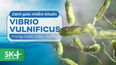 Podcast: Cảnh giác nhiễm khuẩn Vibrio vulnificus trong nước mặn, nước lợ
