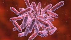 Một nữ sinh nhiễm vi khuẩn 'ăn thịt người' tử vong, Bộ Y tế ra khuyến cáo 