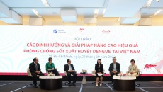 Giải pháp nào giúp tăng cường phòng chống sốt xuất huyết tại Việt Nam?