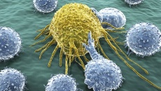 Mỹ: Tìm ra 'công tắc' khiến tế bào ung thư tự hủy khi kích hoạt