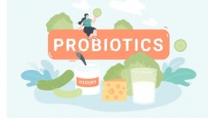 Infographic: Các thực phẩm giàu probiotics tốt cho hệ tiêu hóa