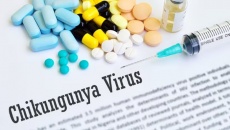 Phê duyệt vaccine phòng virus Chikungunya đầu tiên trên thế giới 