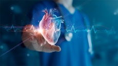 Phương pháp đốt điện tim có thể được áp dụng khi nào?