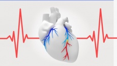 Bị thiếu máu cơ tim, nhịp tim chậm cần làm gì để cải thiện?