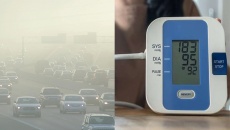 Tăng huyết áp do ô nhiễm không khí từ giao thông