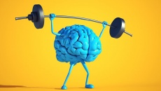 Bài tập thể dục tốt nhất cho sức khỏe não bộ và trí nhớ