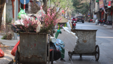 Cách hạn chế rác thải ra môi trường trong những ngày Tết?