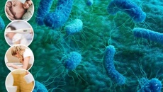 Châu Âu đối mặt với siêu vi khuẩn kháng thuốc mới
