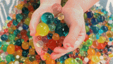 Mỹ: Phát hiện hóa chất gây ung thư trong hạt nở đồ chơi