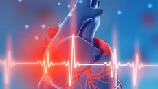 Mới phát hiện bị suy tim, nhịp tim chậm nên bổ sung gì?