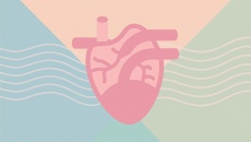 Dùng TPBVSK Ích Tâm Khang thấy bệnh tim cải thiện tốt giờ giảm liều được không?