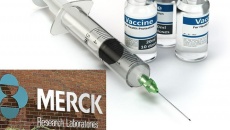 FDA phê duyệt vaccine phế cầu cho người lớn của Merck