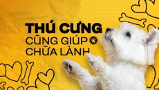 Thú cưng cũng giúp chữa lành