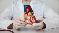Mọi điều cần biết về bệnh van tim: Khái niệm, triệu chứng và điều trị
