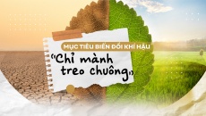 Mục tiêu biến đổi khí hậu: “Chỉ mành treo chuông”