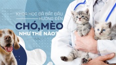 Khoa học đã bắt đầu hướng đến chó, mèo như thế nào?