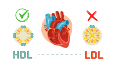 Biện pháp làm tăng “cholesterol tốt” HDL đơn giản  