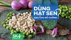 Podcast: Dùng hạt sen sao cho bổ dưỡng?