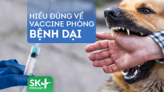 Podcast: Hiểu đúng về vaccine phòng bệnh dại