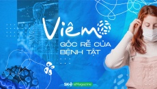 Viêm - gốc rễ của bệnh tật