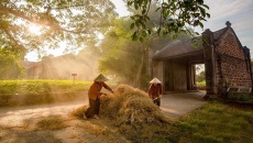 Khám phá Làng cổ Đường Lâm & show “Tinh Hoa Bắc Bộ”