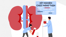 Những xét nghiệm nào phản ánh chức năng thận?