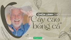 Chữa lành cho “cây cao bóng cả”