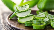 Nha đam có tác dụng giảm đau bụng kinh hiệu quả