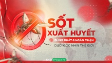 Sốt xuất huyết: Bùng phát & ngăn chặn dưới góc nhìn thế giới