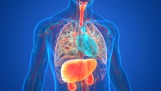 Bệnh mạn tính có thể ảnh hưởng đến sức khỏe thận