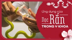 Ứng dụng của nọc rắn trong y khoa